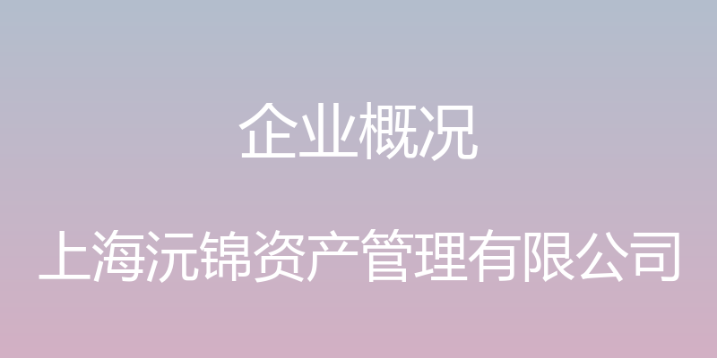 企业概况 - 上海沅锦资产管理有限公司